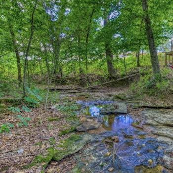 The Pisces-A Stargazing, Luxury Glamping Tent Rogersville Екстериор снимка